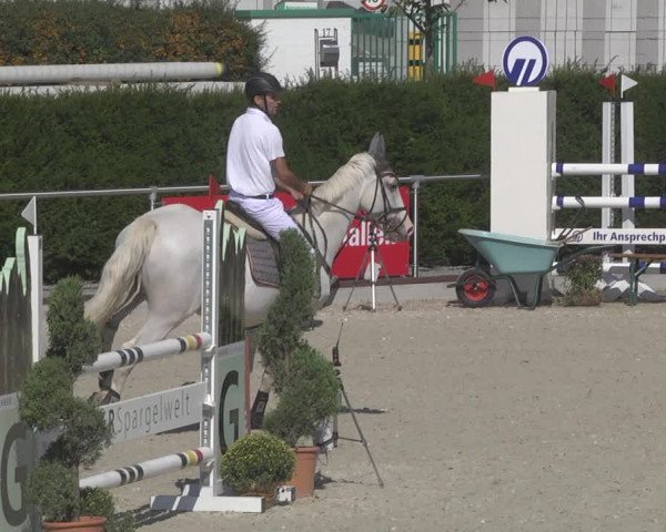 Reitturnier Durmersheim-Hardt 2019