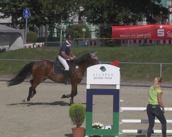 Reitturnier Durmersheim-Hardt 2019
