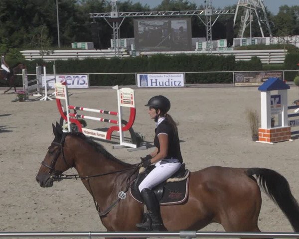 Reitturnier Durmersheim-Hardt 2019