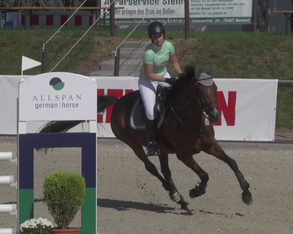 Reitturnier Durmersheim-Hardt 2019