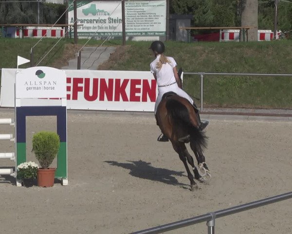 Reitturnier Durmersheim-Hardt 2019