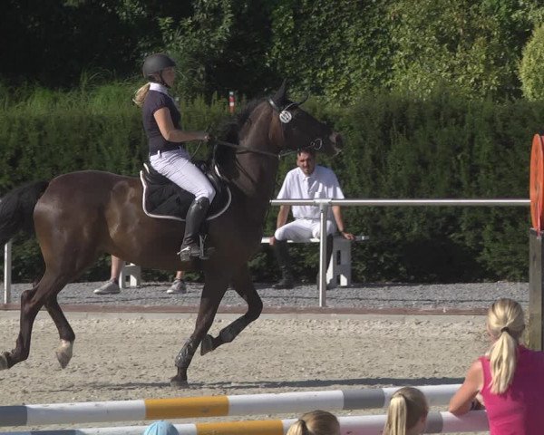 Reitturnier Durmersheim-Hardt 2019