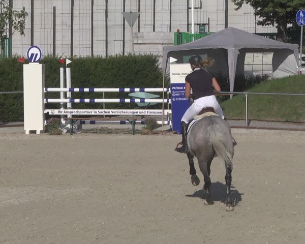 Reitturnier Durmersheim-Hardt 2019