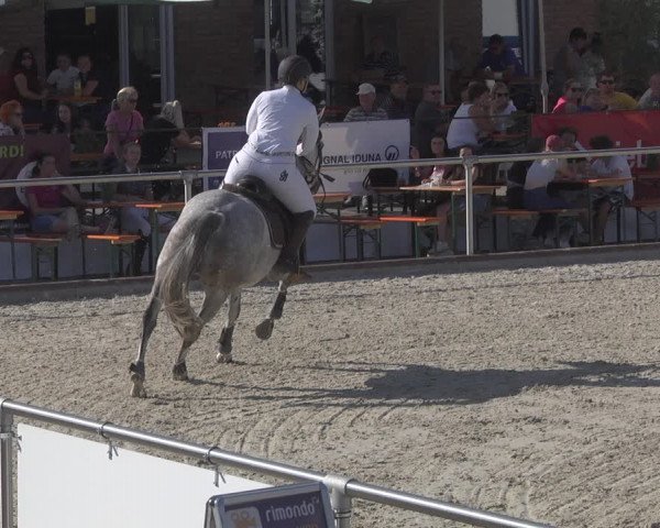 Reitturnier Durmersheim-Hardt 2019