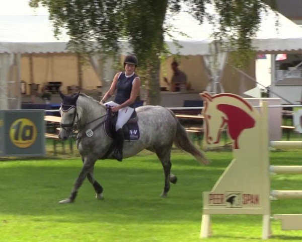 Reitturnier Kellinghusen 2019