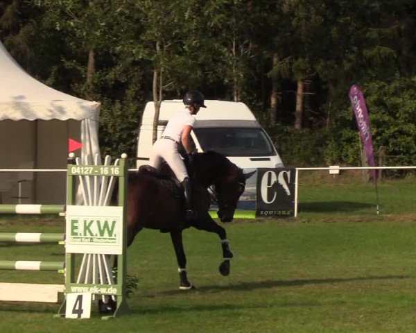 Reitturnier Kellinghusen 2019