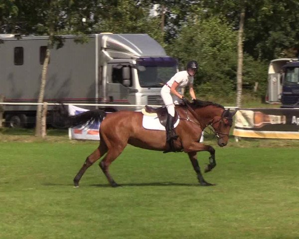 Reitturnier Kellinghusen 2019
