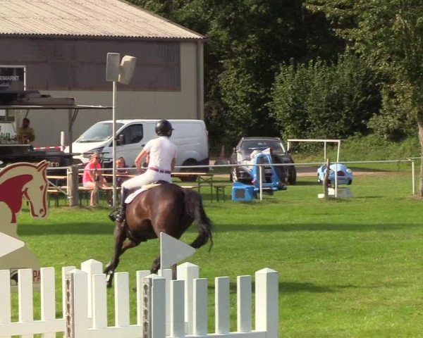 Reitturnier Kellinghusen 2019