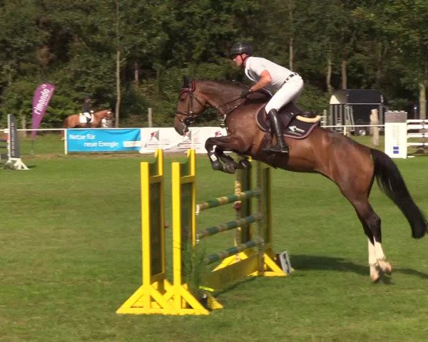 Reitturnier Kellinghusen 2019