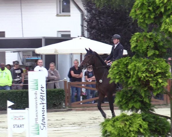 Equus Colonius - Reitanlage Brüse Köln 2021