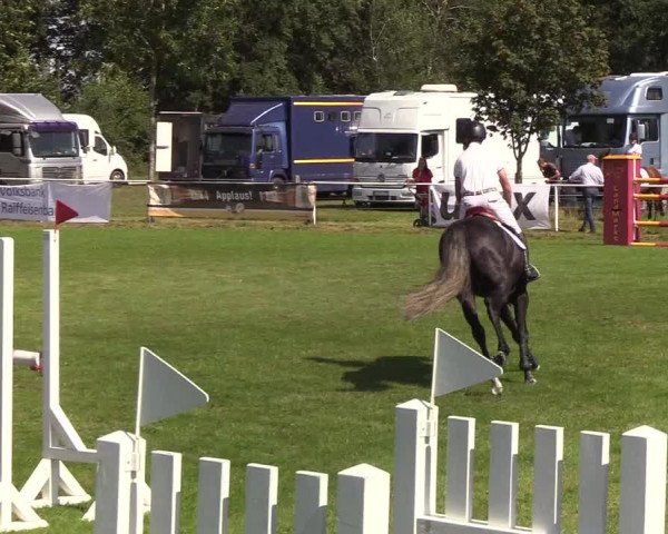Reitturnier Kellinghusen 2019