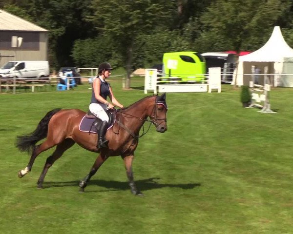 Reitturnier Kellinghusen 2019