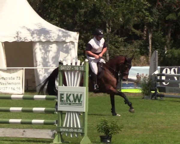 Reitturnier Kellinghusen 2019