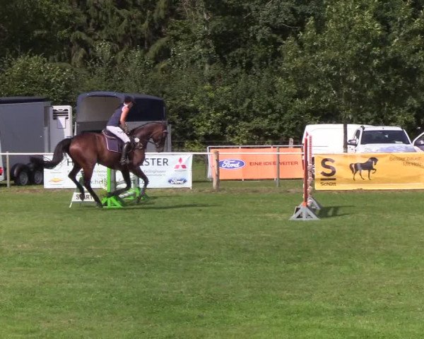 Reitturnier Kellinghusen 2019