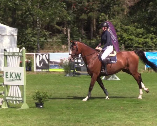 Reitturnier Kellinghusen 2019