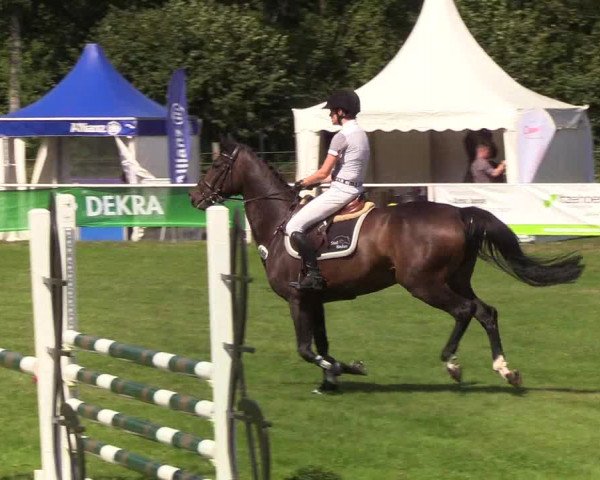 Reitturnier Kellinghusen 2019