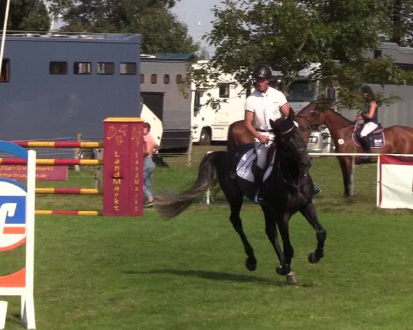 Reitturnier Kellinghusen 2019