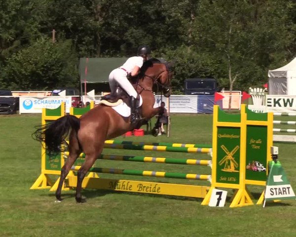 Reitturnier Kellinghusen 2019