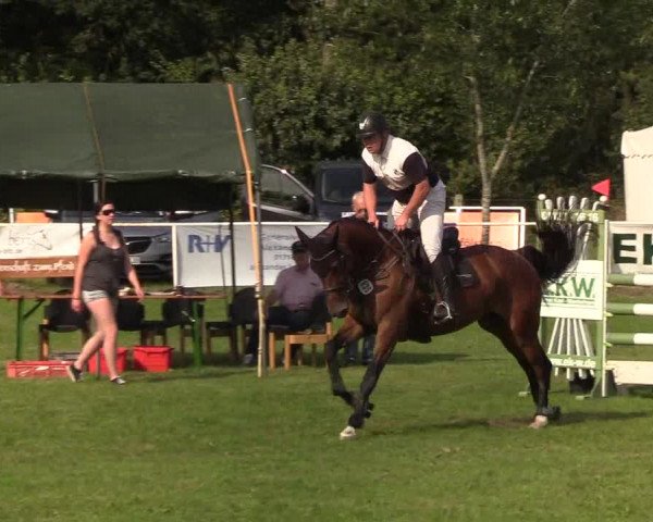 Reitturnier Kellinghusen 2019