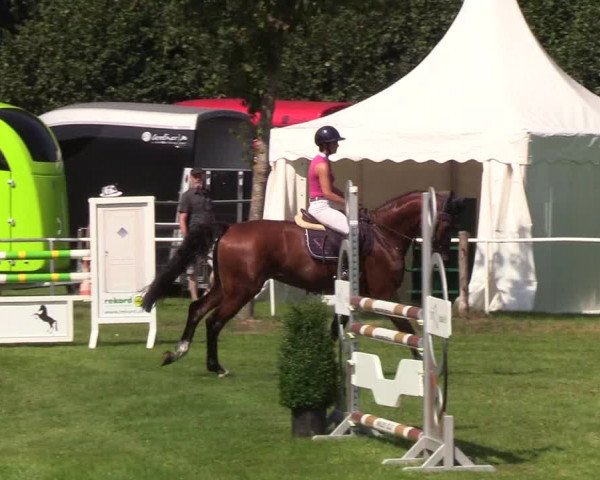 Reitturnier Kellinghusen 2019