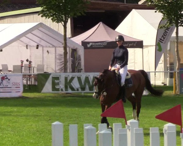 Reitturnier Kellinghusen 2019