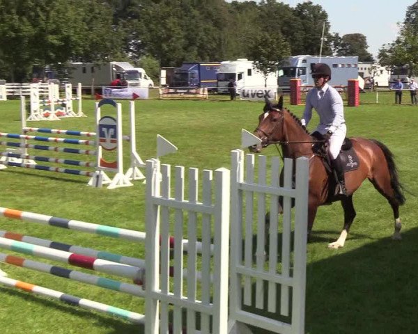 Reitturnier Kellinghusen 2019