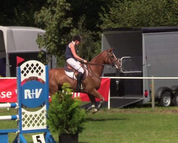 Reitturnier Kellinghusen 2019