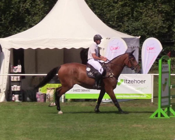 Reitturnier Kellinghusen 2019