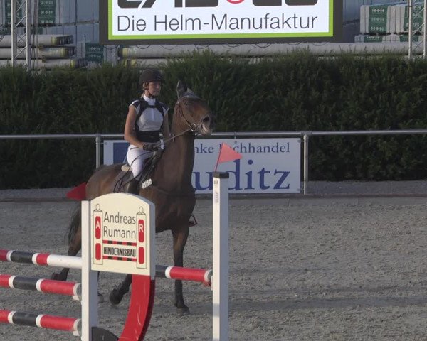 Reitturnier Durmersheim-Hardt 2019
