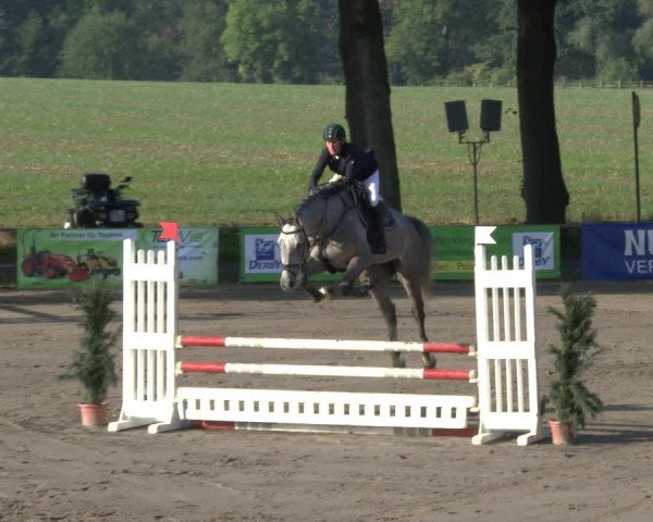 Reitturnier Recklinghausen 2019