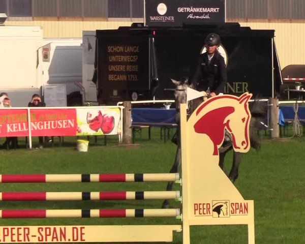 Reitturnier Kellinghusen 2019