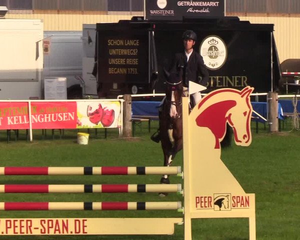 Reitturnier Kellinghusen 2019