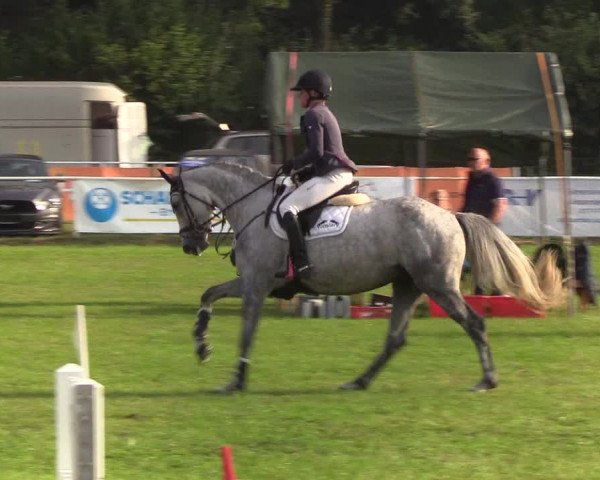 Reitturnier Kellinghusen 2019