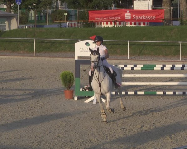 Reitturnier Durmersheim-Hardt 2019