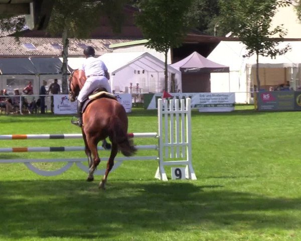 Reitturnier Kellinghusen 2019