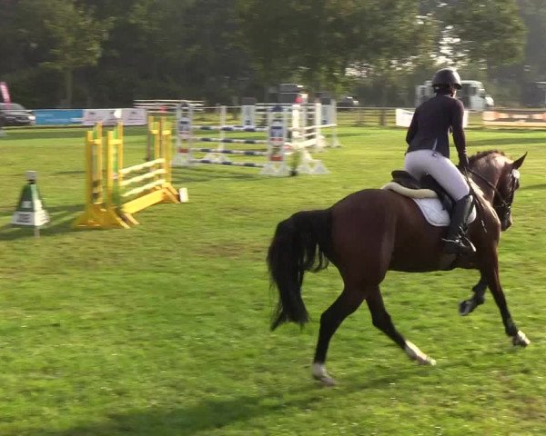 Reitturnier Kellinghusen 2019