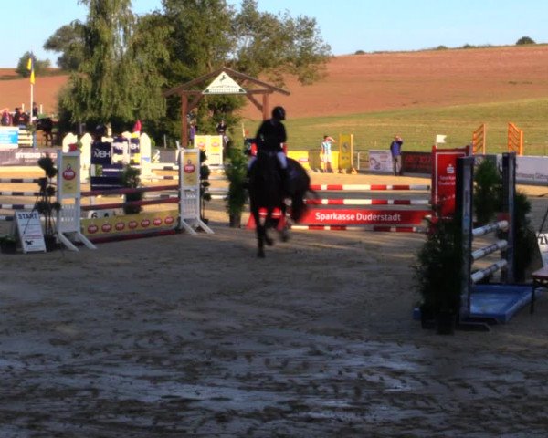 Reitturnier Duderstadt 2019