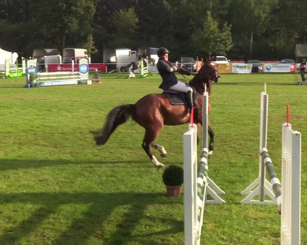 Reitturnier Kellinghusen 2019