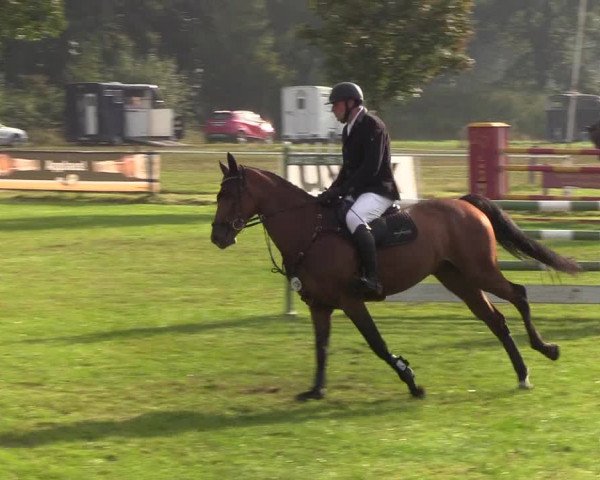 Reitturnier Kellinghusen 2019