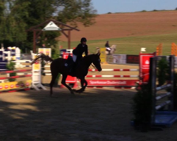 Reitturnier Duderstadt 2019