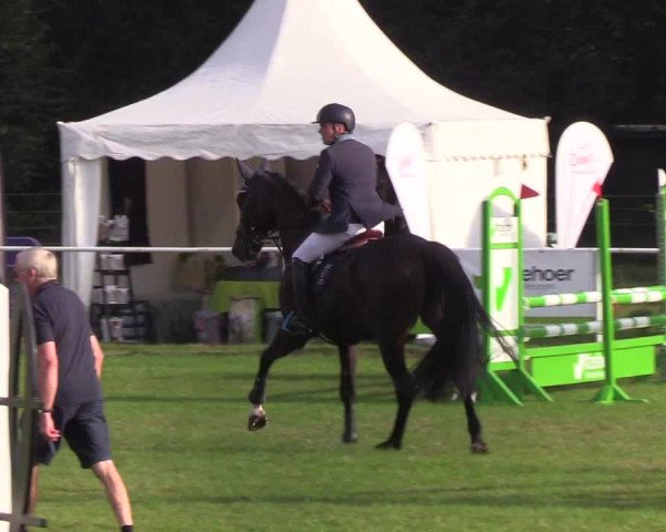 Reitturnier Kellinghusen 2019