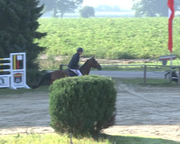 Reitturnier Recklinghausen 2019