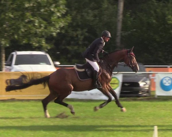 Reitturnier Kellinghusen 2019