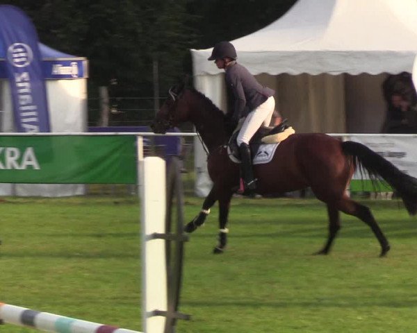 Reitturnier Kellinghusen 2019