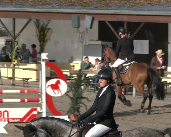 Reitturnier Recklinghausen 2019