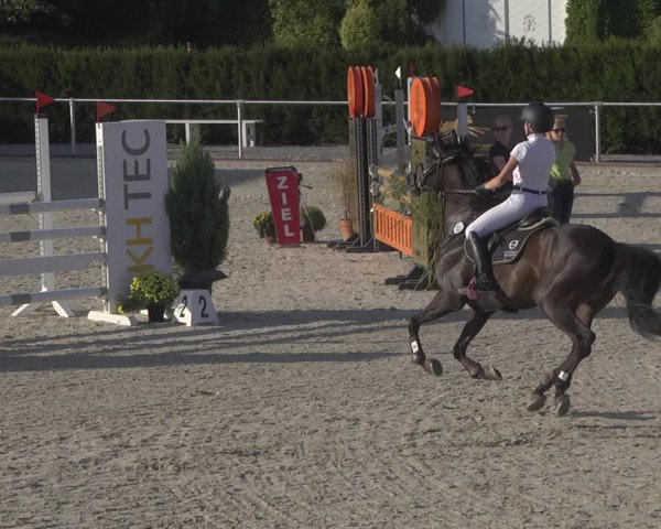 Reitturnier Durmersheim-Hardt 2019