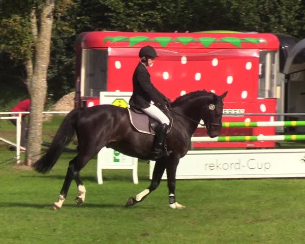 Reitturnier Kellinghusen 2019