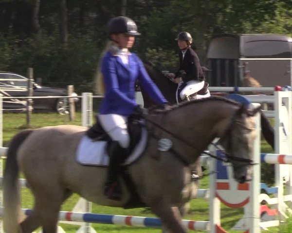 Reitturnier Kellinghusen 2019