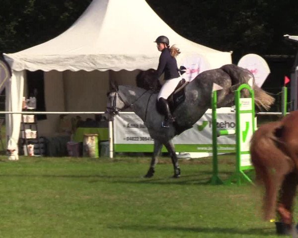 Reitturnier Kellinghusen 2019