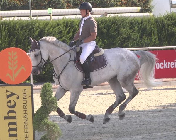 Reitturnier Durmersheim-Hardt 2019